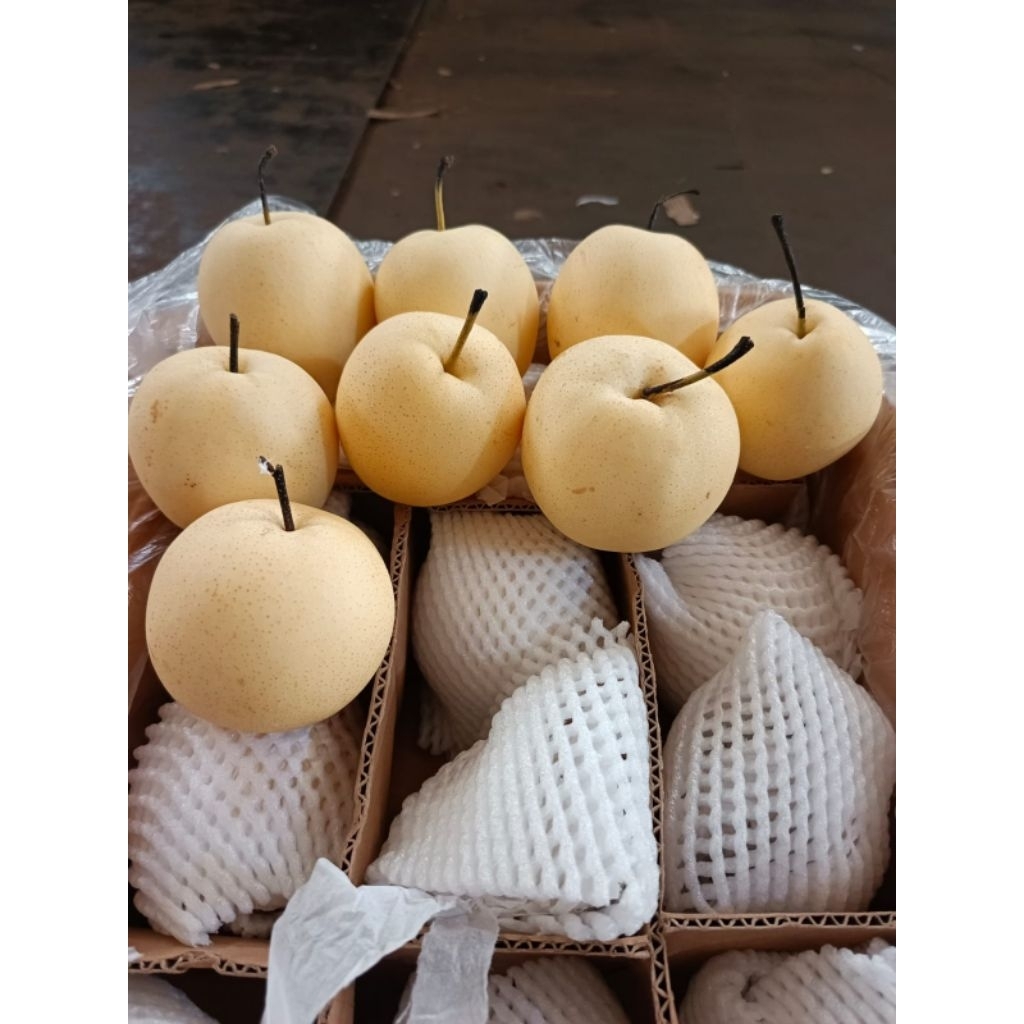 

buah pear century fresh manis per 1 kg pear