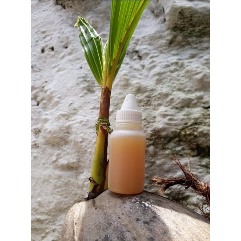 ESSEN PERANGSANG / PENGUMPUL IKAN