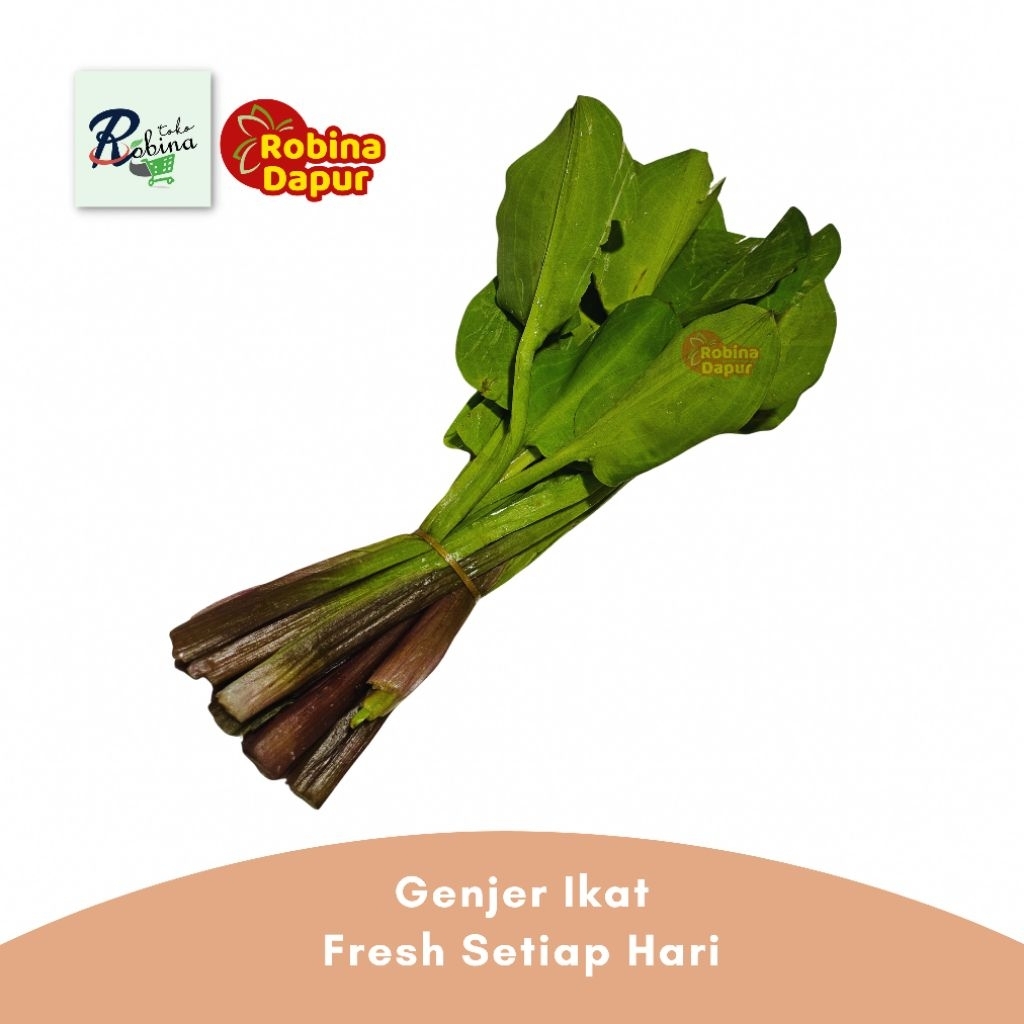 

Bandung Segar Sayur Genjer ikat