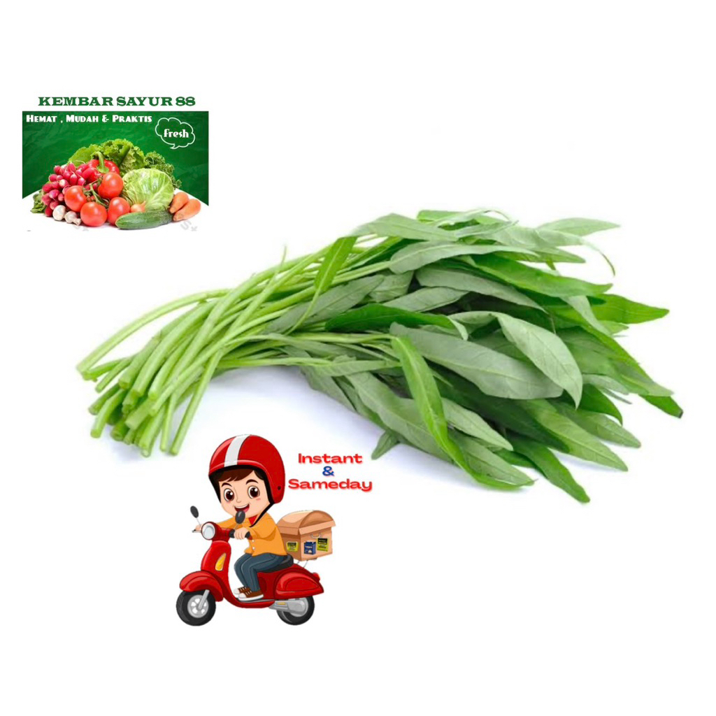 

Kangkung Fresh - kembarsayur88