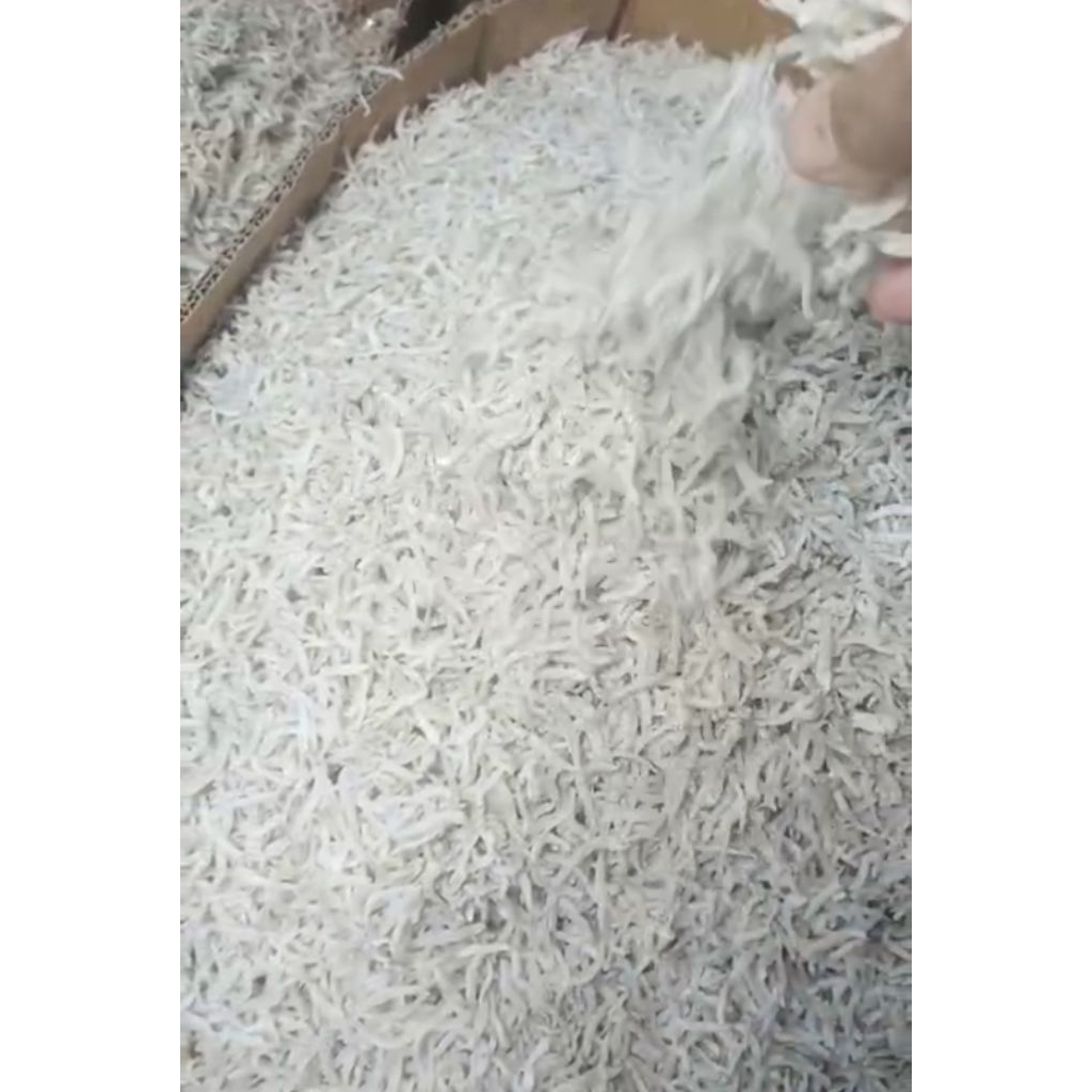 

Ikan Teri Medan Teri Nasi Segar Tidak ada pengawet 500 Gram