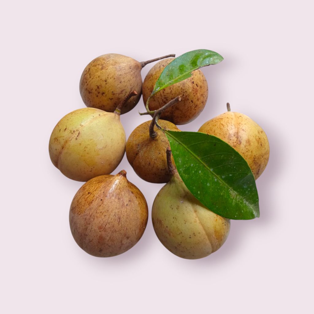 

Buah pala fress gelundungan 1kg dipetik dadakan saat orderan masuk