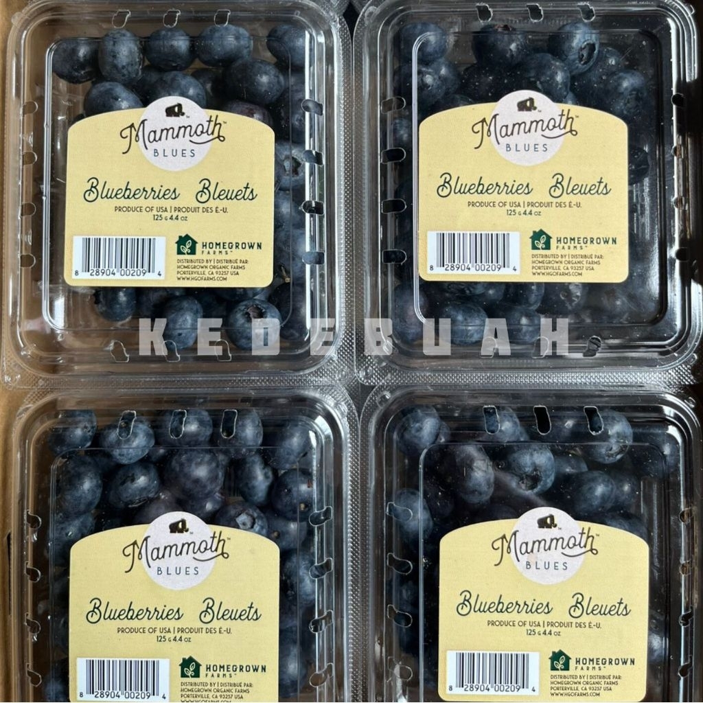 

Blueberry Bleuets USA 125 gr