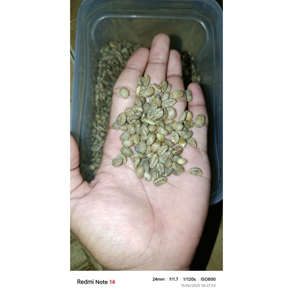 

Biji kopi/Greenbean kopi robusta & liberika 5kg