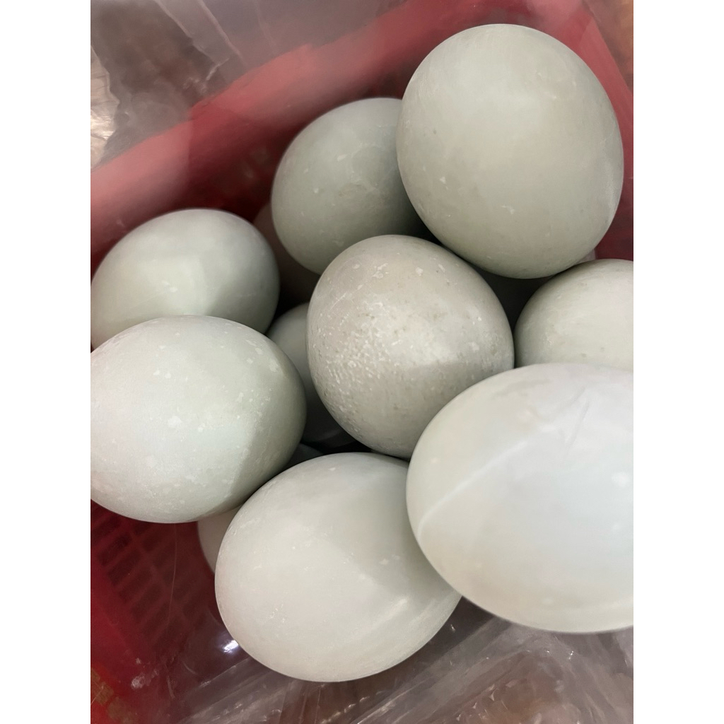 

TELOR TELUR ASIN MATANG