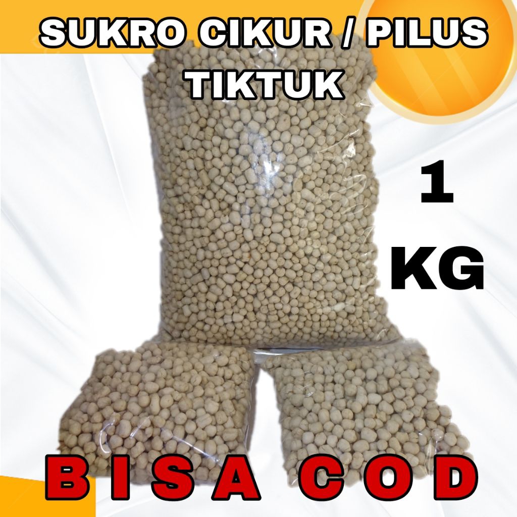 

SUKRO CIKUR 1 KG / SUKRO PILUS KENCUR SARI RASA TOPING BOCI SEBLAK