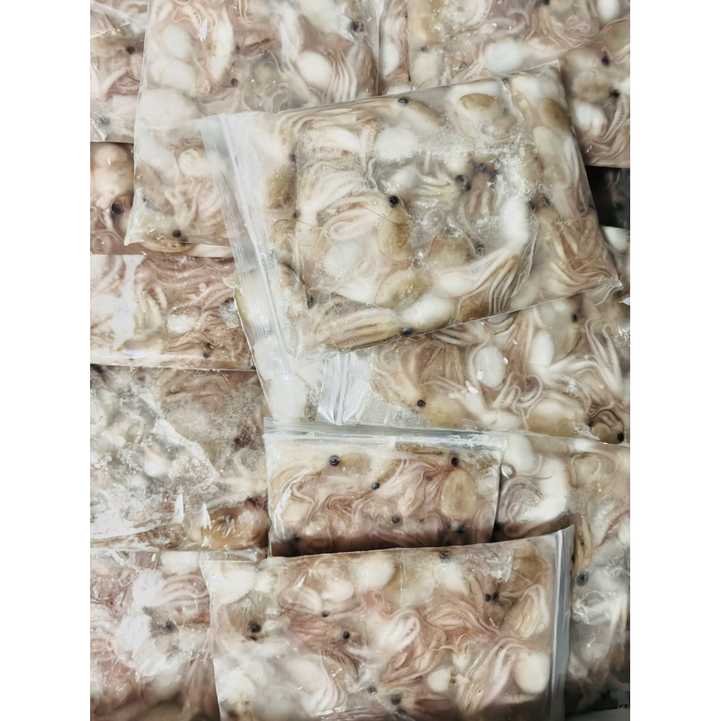 

baby gurita whole round