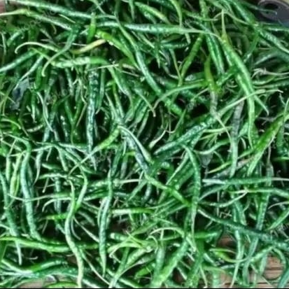 

Cabe Keriting Ijo 500 gr