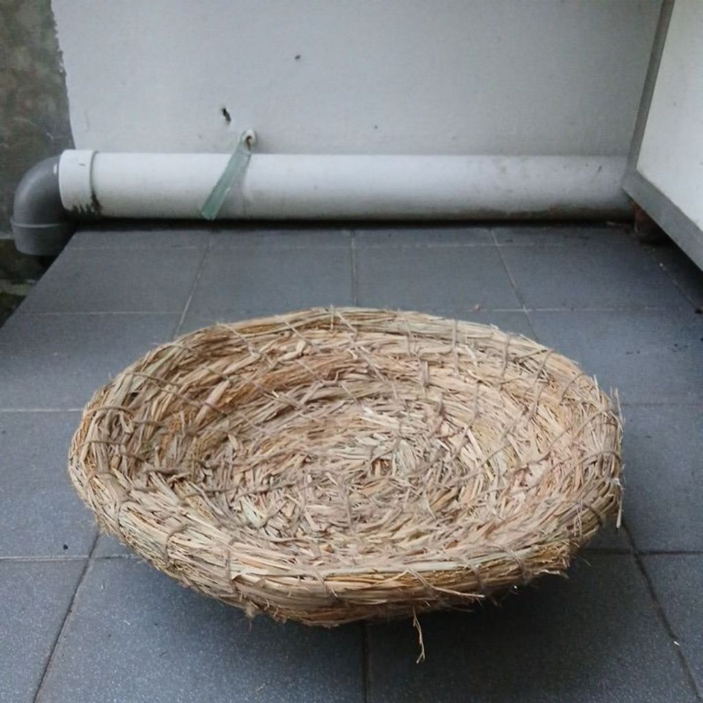 SARANG JUMBO/SARANG BEBEK/SARANG MENTOK