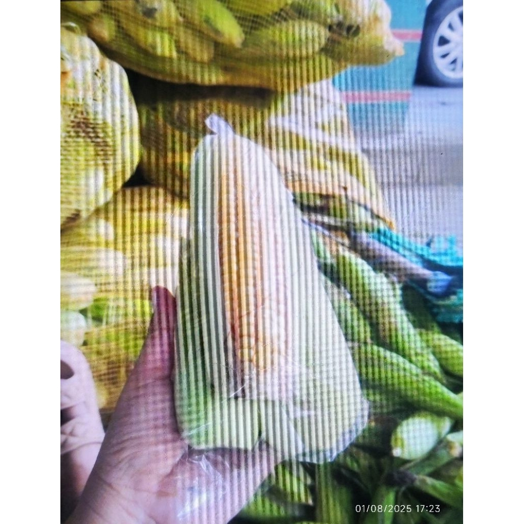 

Jagung Manis fresh isi 3 buah