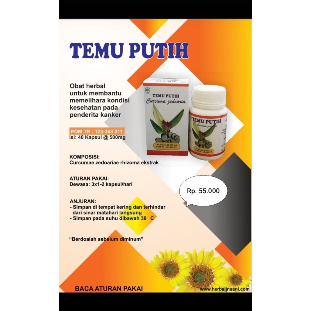 TEMU PUTIH obat utk penderita kanker