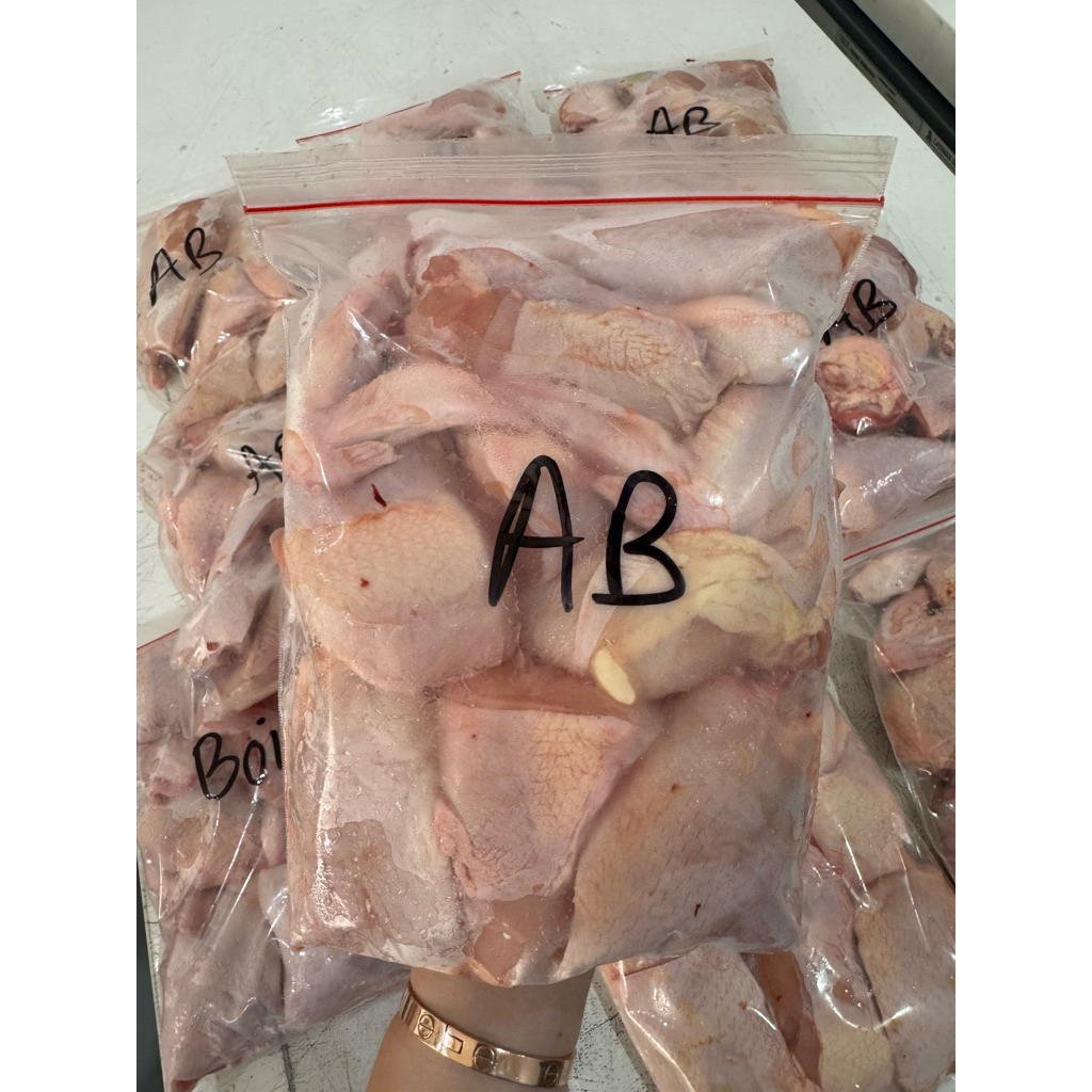ayam  boiler potong 8
