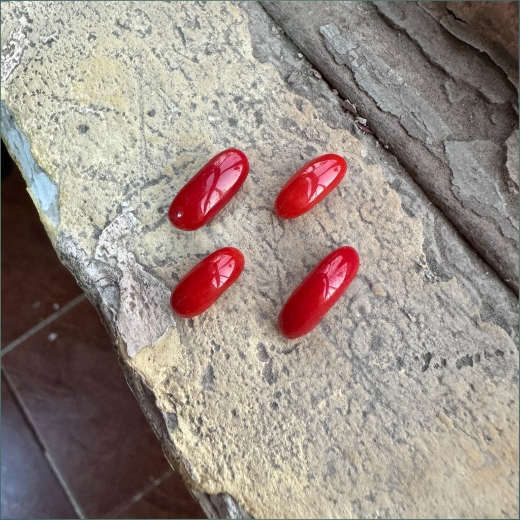 Marjan Tunisia Asli Size Mini Import Mesir (Red coral)