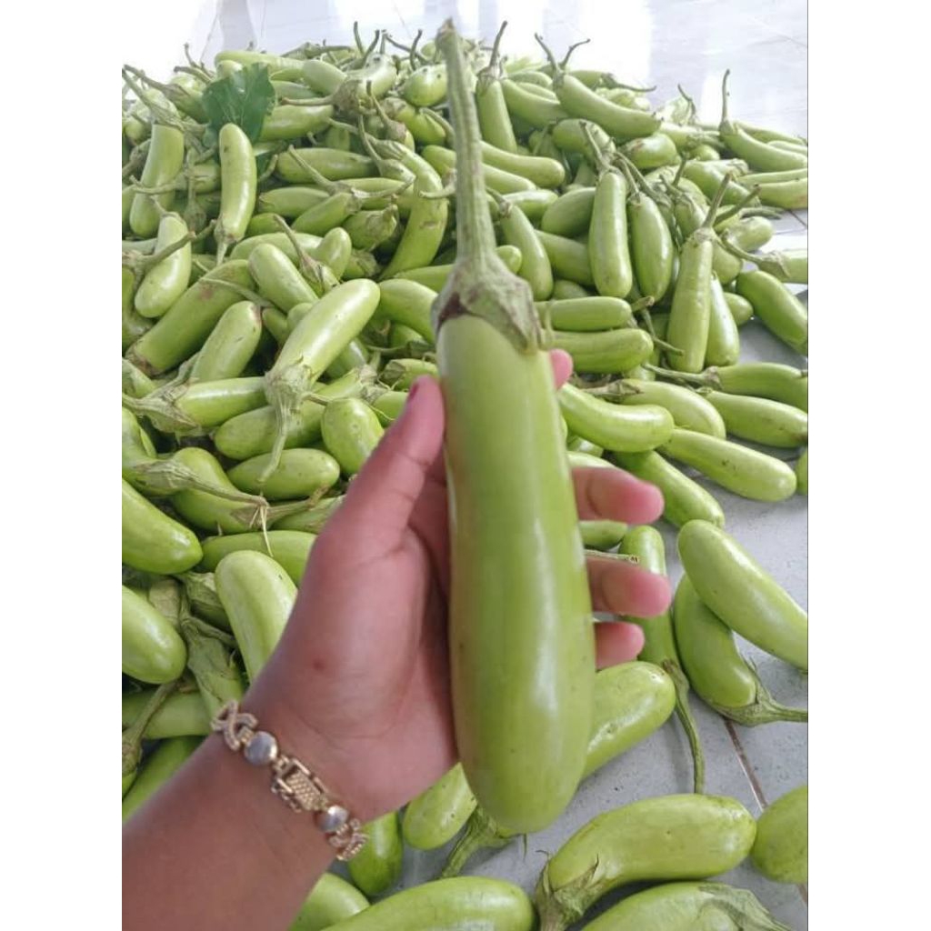 

Terong hijau 500gram