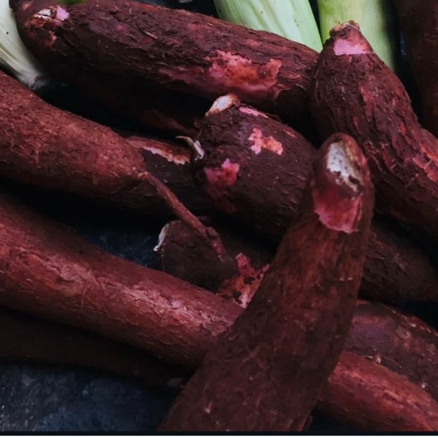 

1KG singkong mentah | singkong apuy | singkong kulit merah