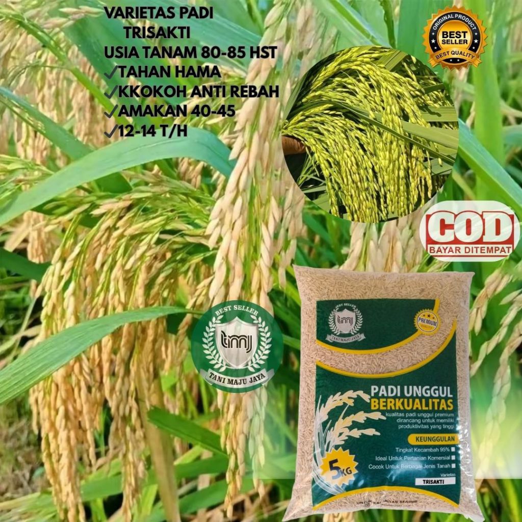 BIBIT PADI BENIH PADI UNGGUL VARIETAS TRISAKTI KEMASAN 5 KG