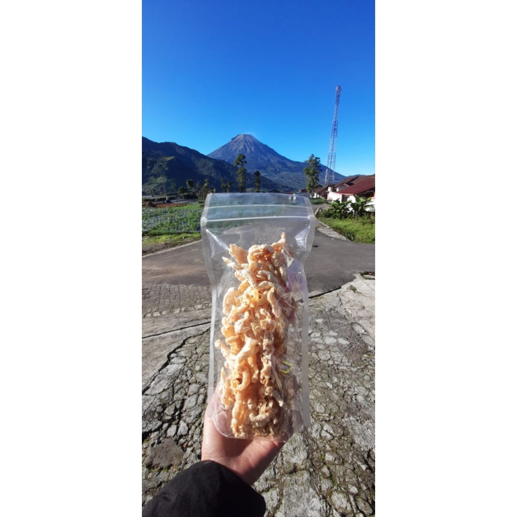 

Oleh-oleh Wonosobo Keripik Ceker Tanpa Tulang 100 gram