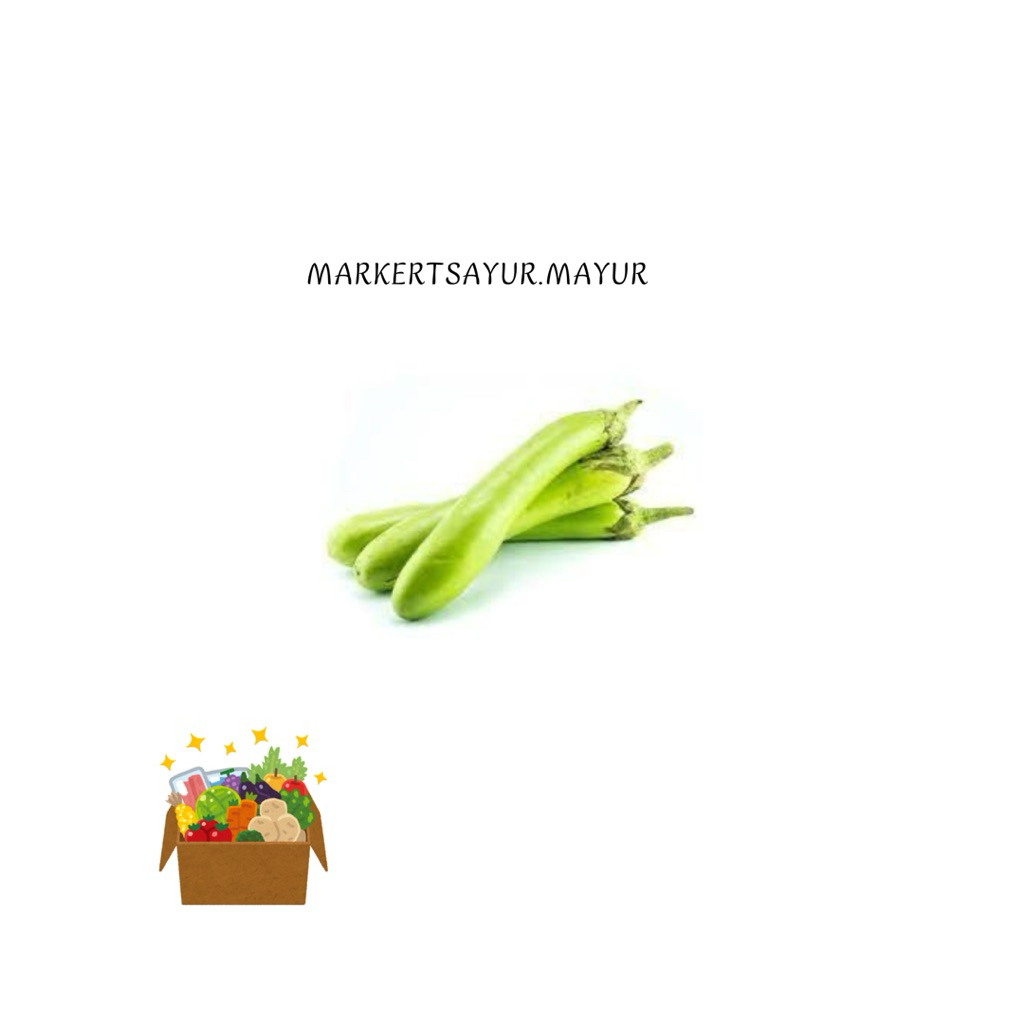 

Terong Hijau Dan Terong Ungu