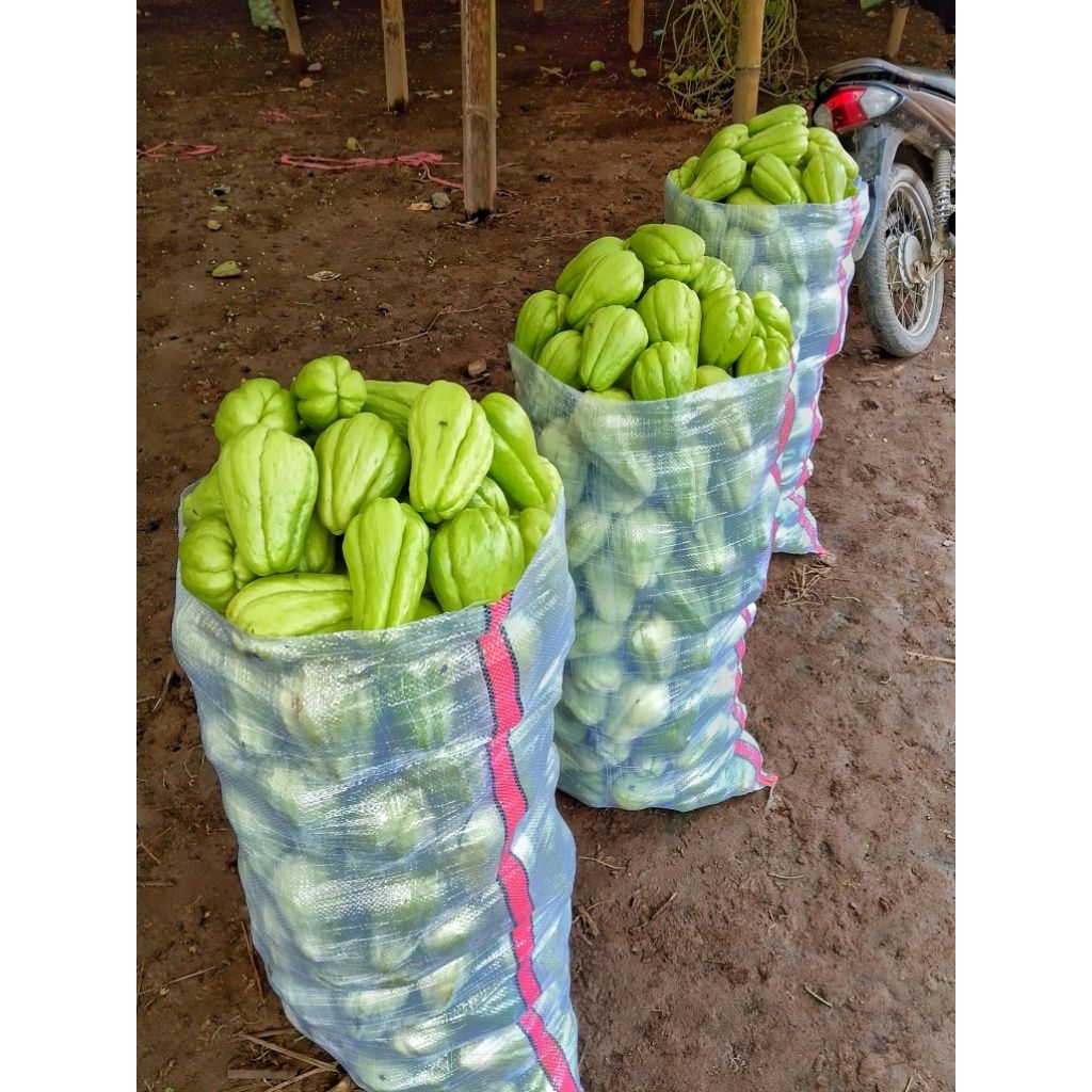 

labu siam manis masih fresh 1 kg 6.000