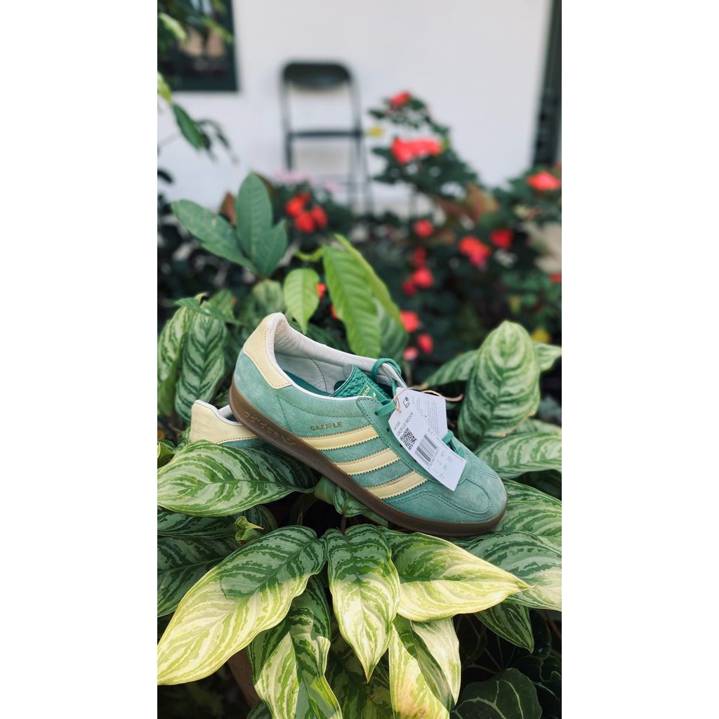 gazelle indoor cw liverpool