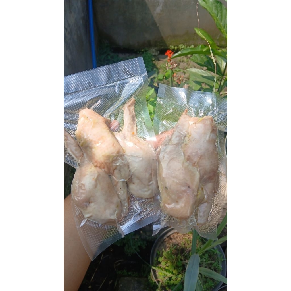 

SAYAP ISI TANPA TULANG / TORI NO TEBA