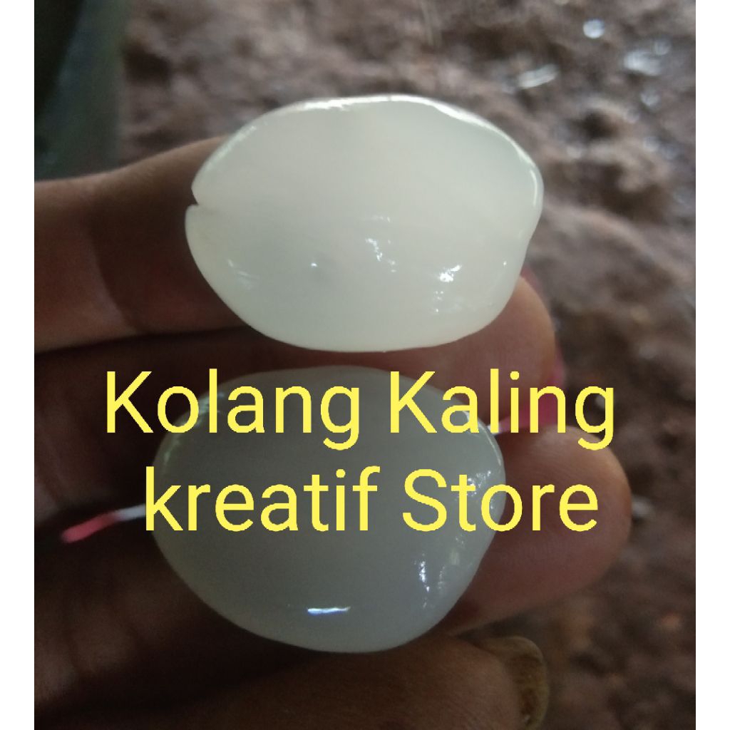 

Kolang Kaling Jumbo Asli Buah Aren / Cangkaleng/ Herbal" kreatif store