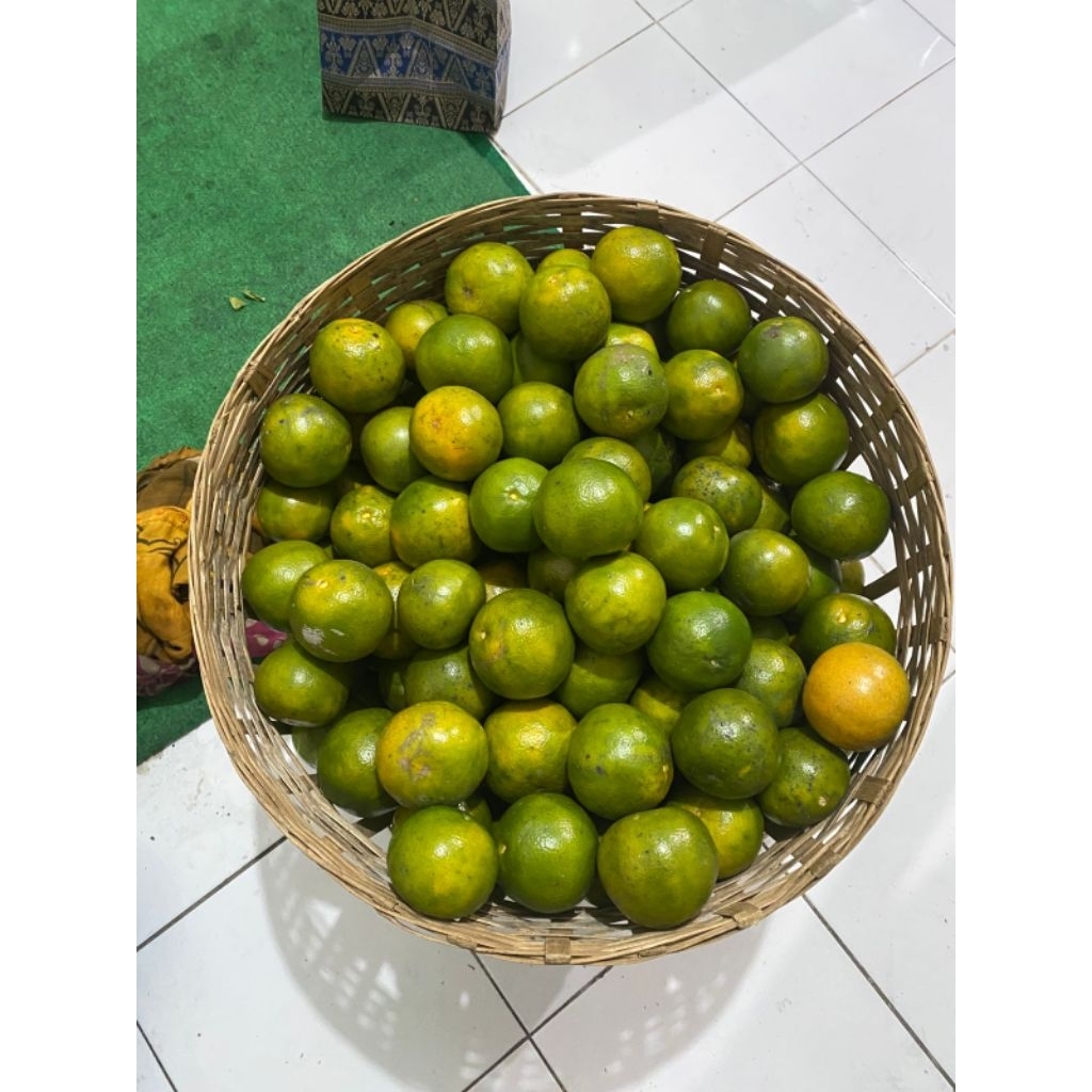 

JERUK MANIS SEMBORO [FRESH] 1KG ISI 6-7 BUAH