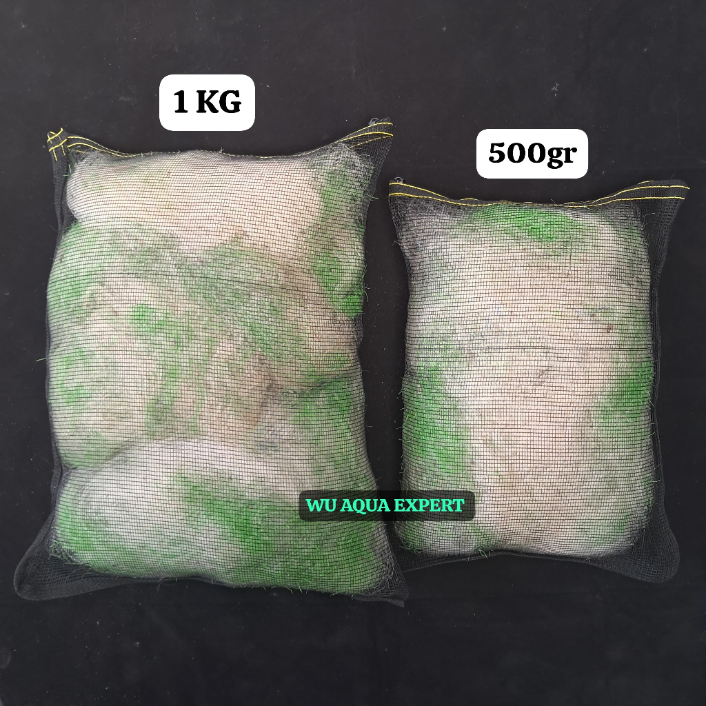 JARING NELAYAN DAN WARING Media Filter Kolam Aquarium Jaring Bekas Nelayan 1 KG 1KG 500GR 500 GR Jap