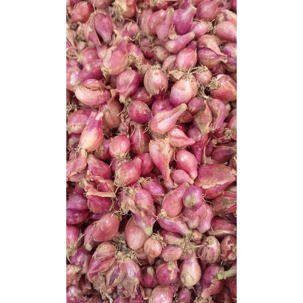 

bawang merah campur 1kg