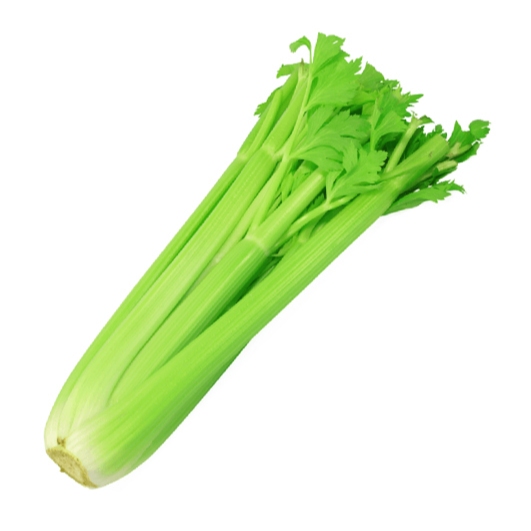 

Celery Stick Ecer / Celery Segar /Seledri Besar / Seledri Jumbo / Celery Stick Import Fresh / 1 Kg