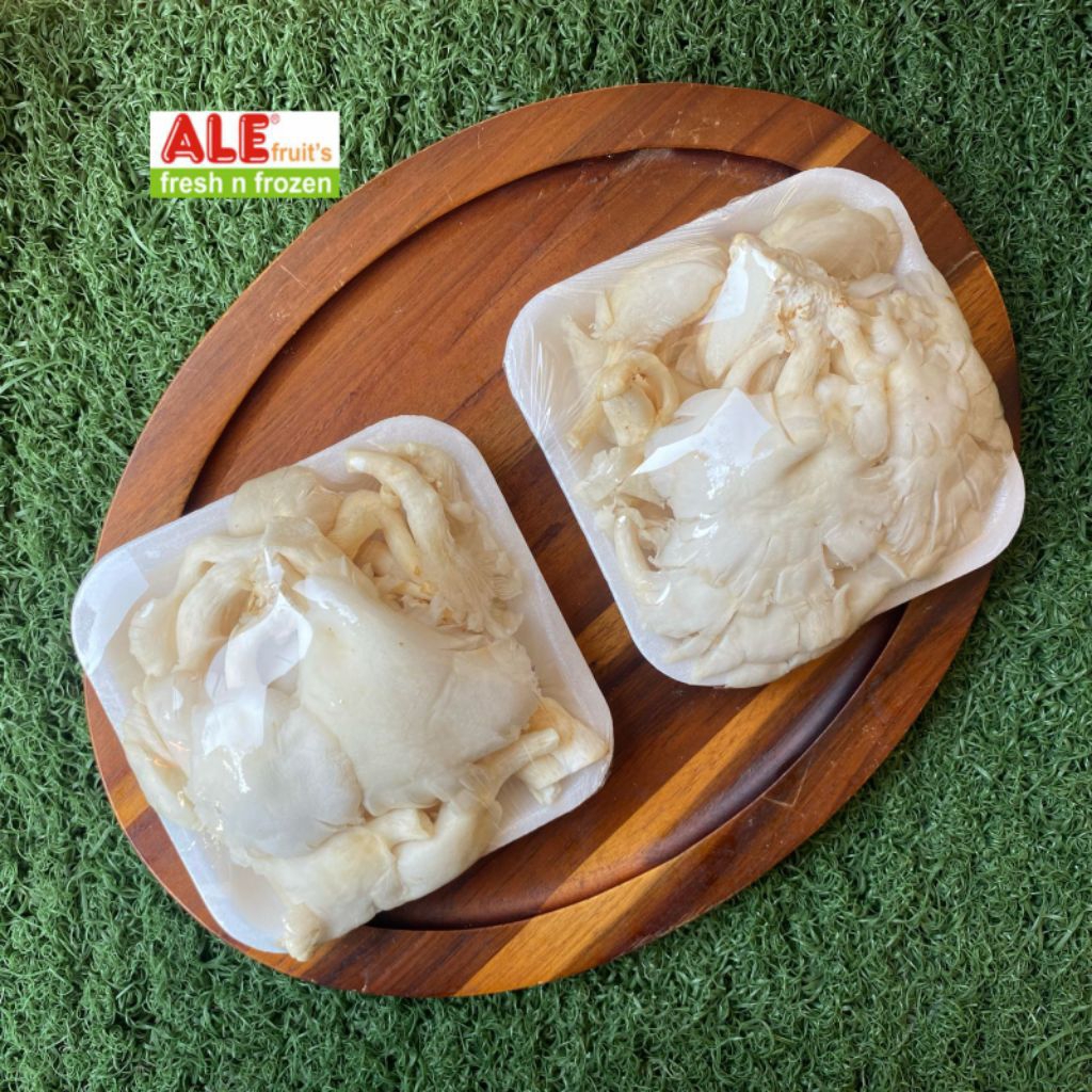 

Jamur tiram, jamur tiram segar fresh, jamur tiram putih