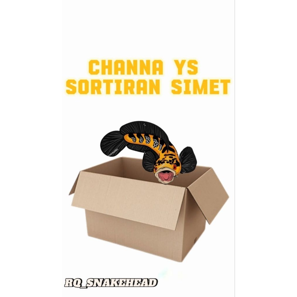 

box kardusi isi maru ys