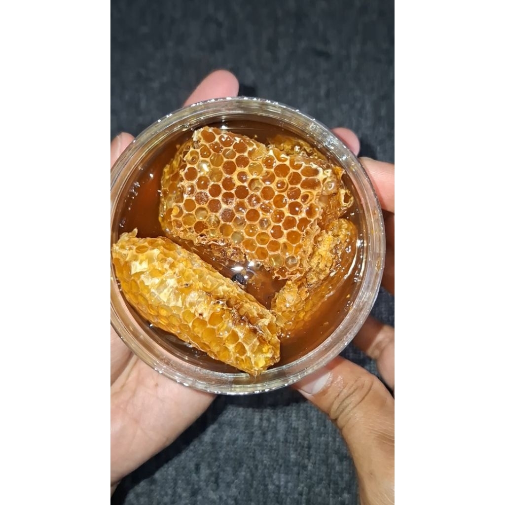 

Madu Sarang Lebah Liar Apis Cerana