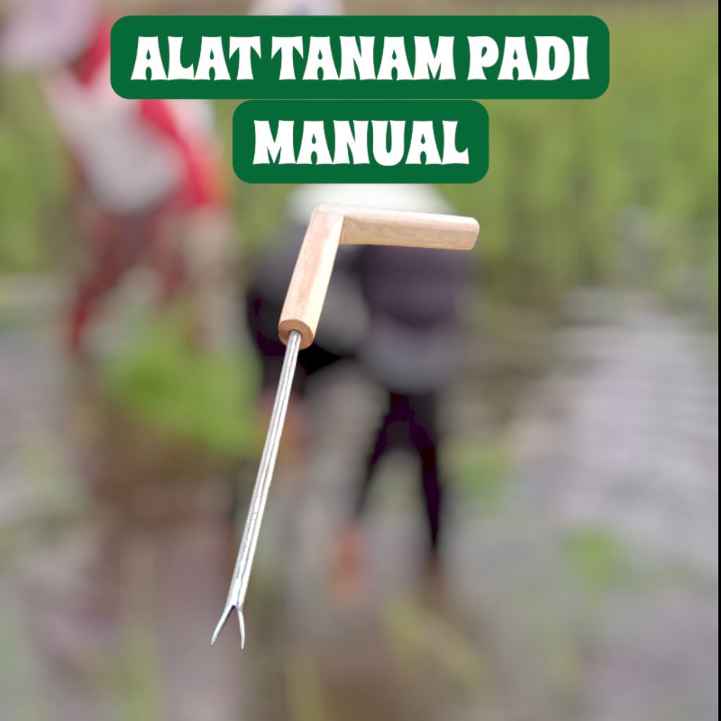 ALAT TANAM PADI MANUAL, ALAT PRAKTIS, ALAT SERBAGUNA