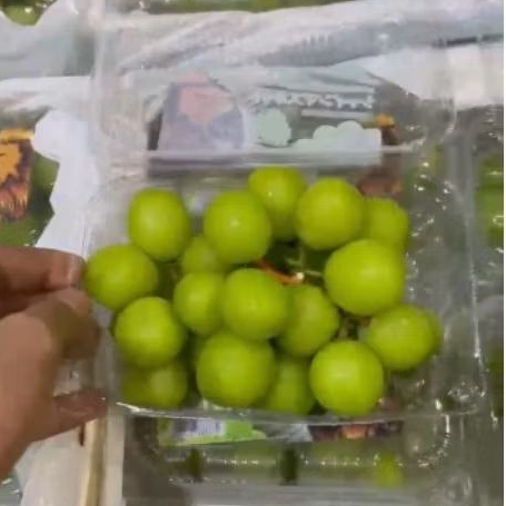 

Buah Anggur Shine Muscat Pack Lion per 1 Dus karton