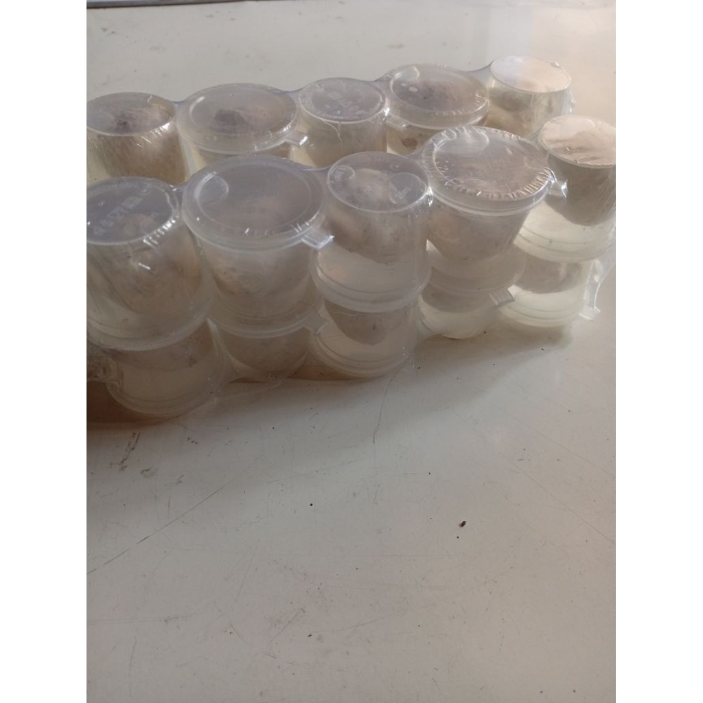 

pulut bendo super lengket