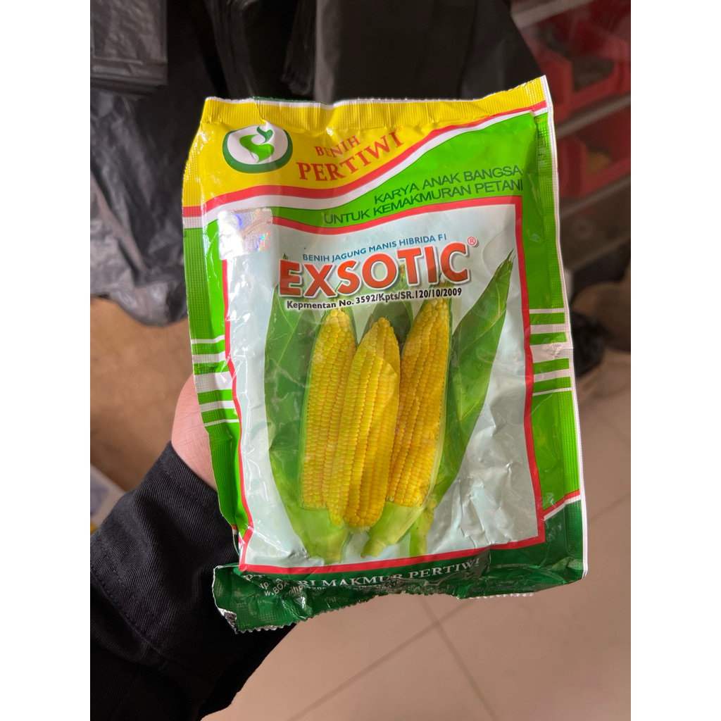 Benih jagung manis - EXSOTIC