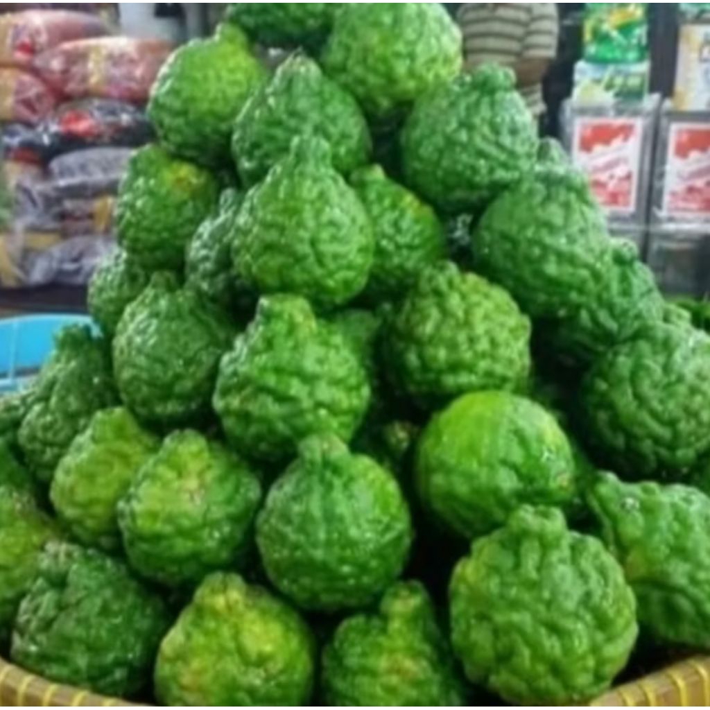 

jaruk purut 500gram segar bppn