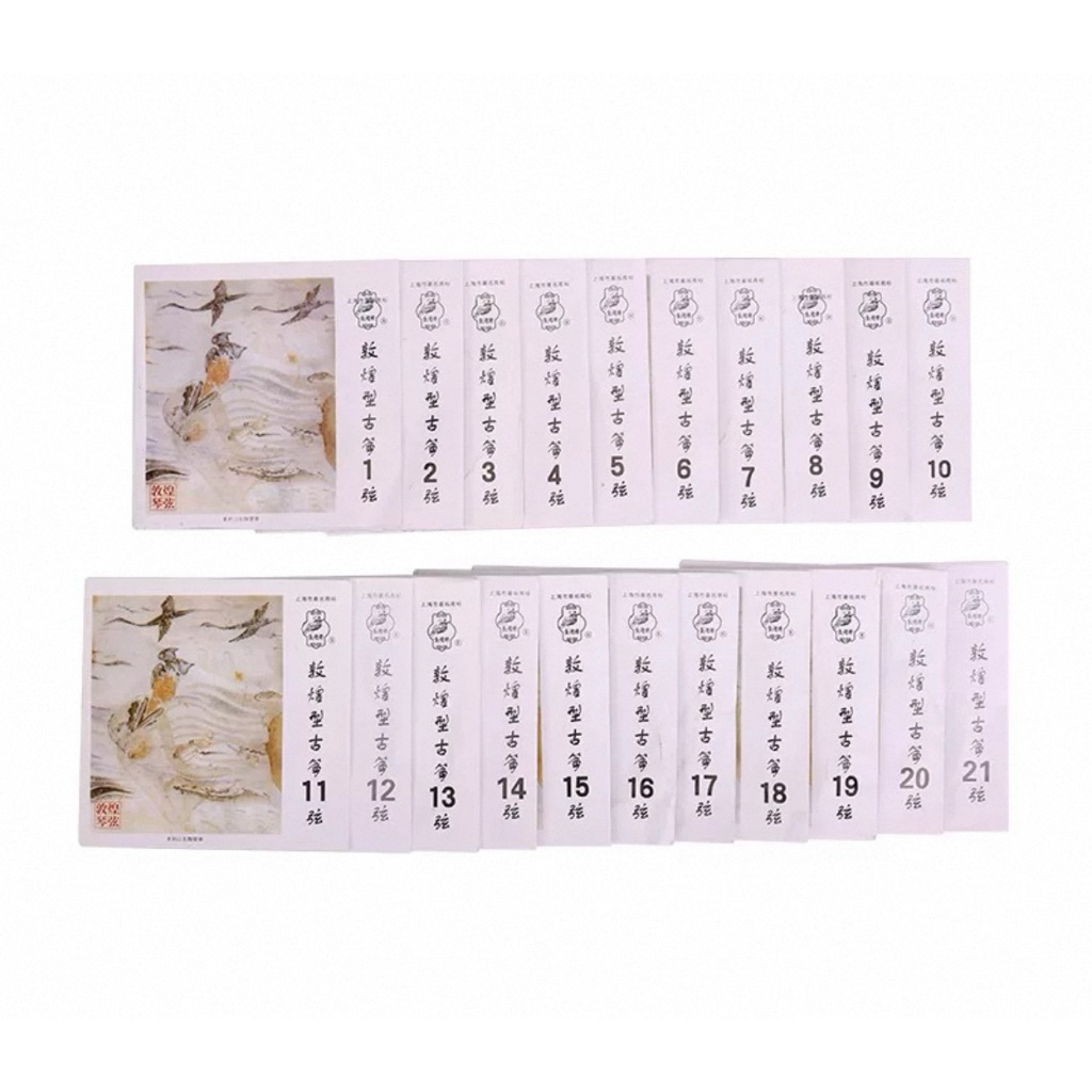 Senar Guzheng Kecapi china set