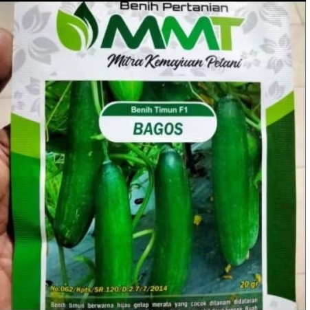 Benih Timun F1 Bagos MMT SEED 20gram - Bibit Timun Ketimun Mentimun Bagos Bagus