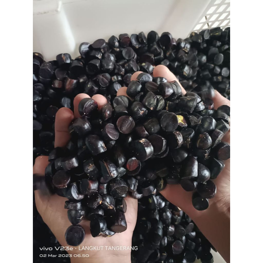 

Jaling Kabau , jolang jaling , kuwau sumatra 100gram