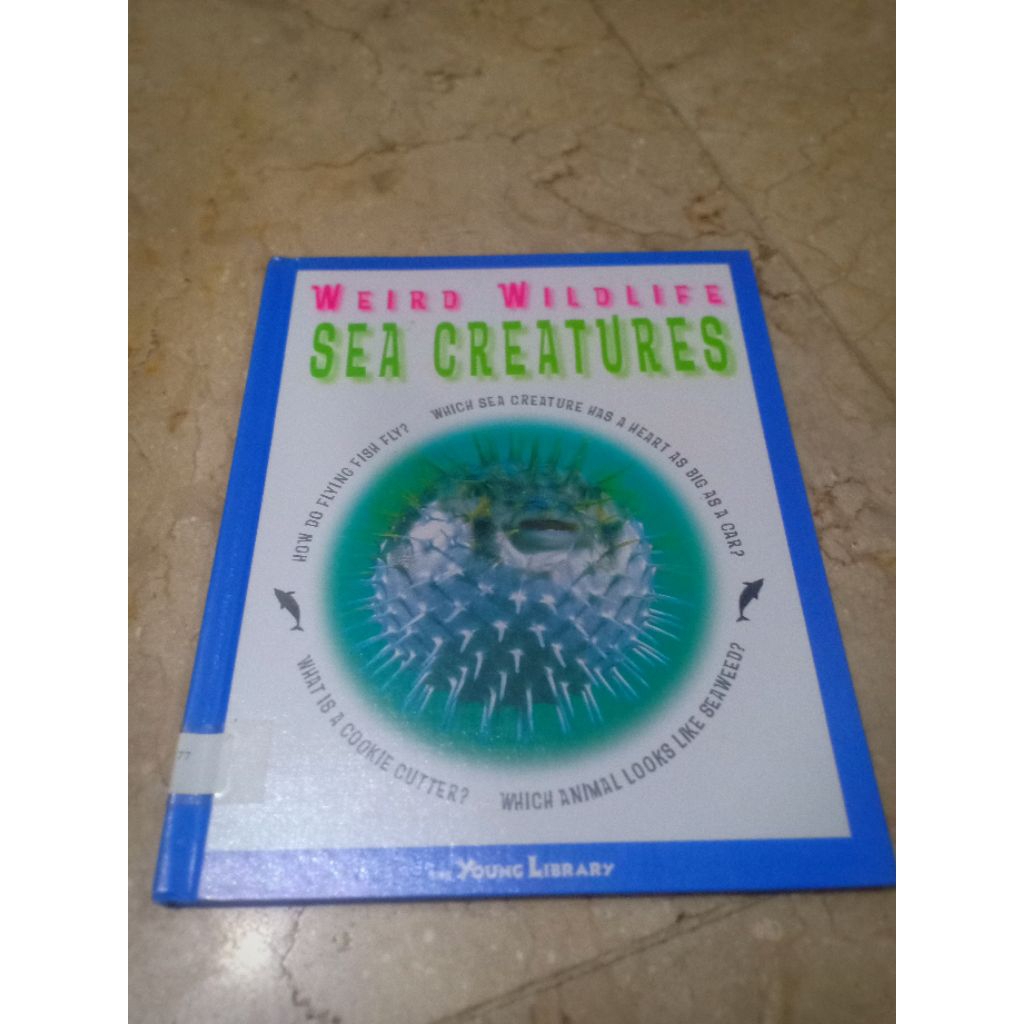 weird wildlife sea creatures