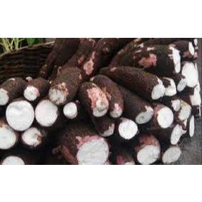 

SINGKONG PULEN 1KG, SINGKONG MENTAH FRESH BARU DIPANEN