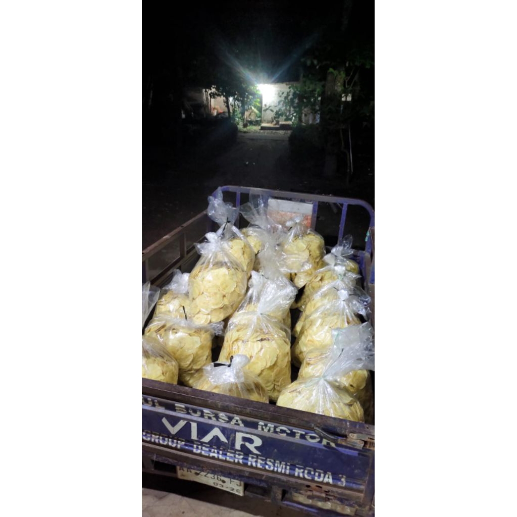 

PAKET USAHA EMPING MELINJO MENTAH ASLI KHAS KEBUMEN/PAKET 5kg/PAKET HEMAT/EMPING MELINJO MENTAH KHAS KEBUMEN