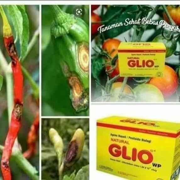 GLio NASA pupuk organik pembasmi hama