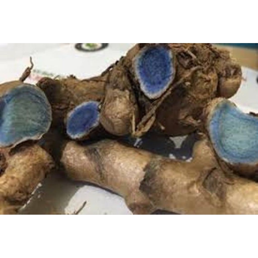 

temu hitam/kunyit hitam trbaik obat herbal alami berat 500 gram