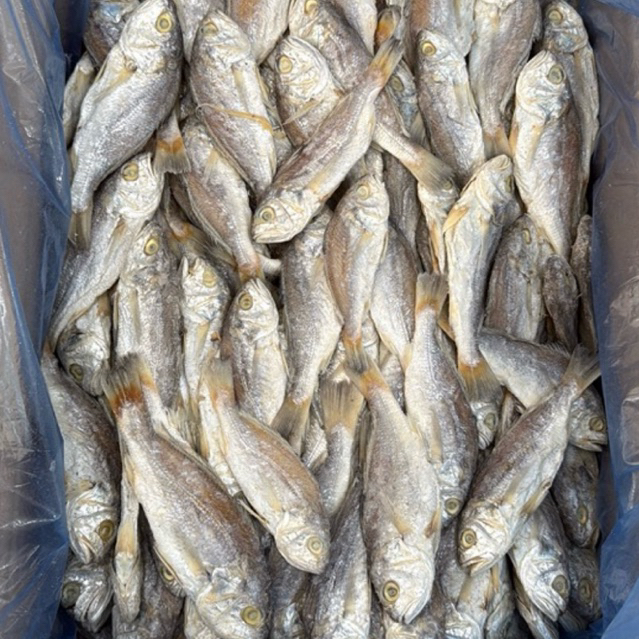 

IKAN ASIN GULAMA PISANG