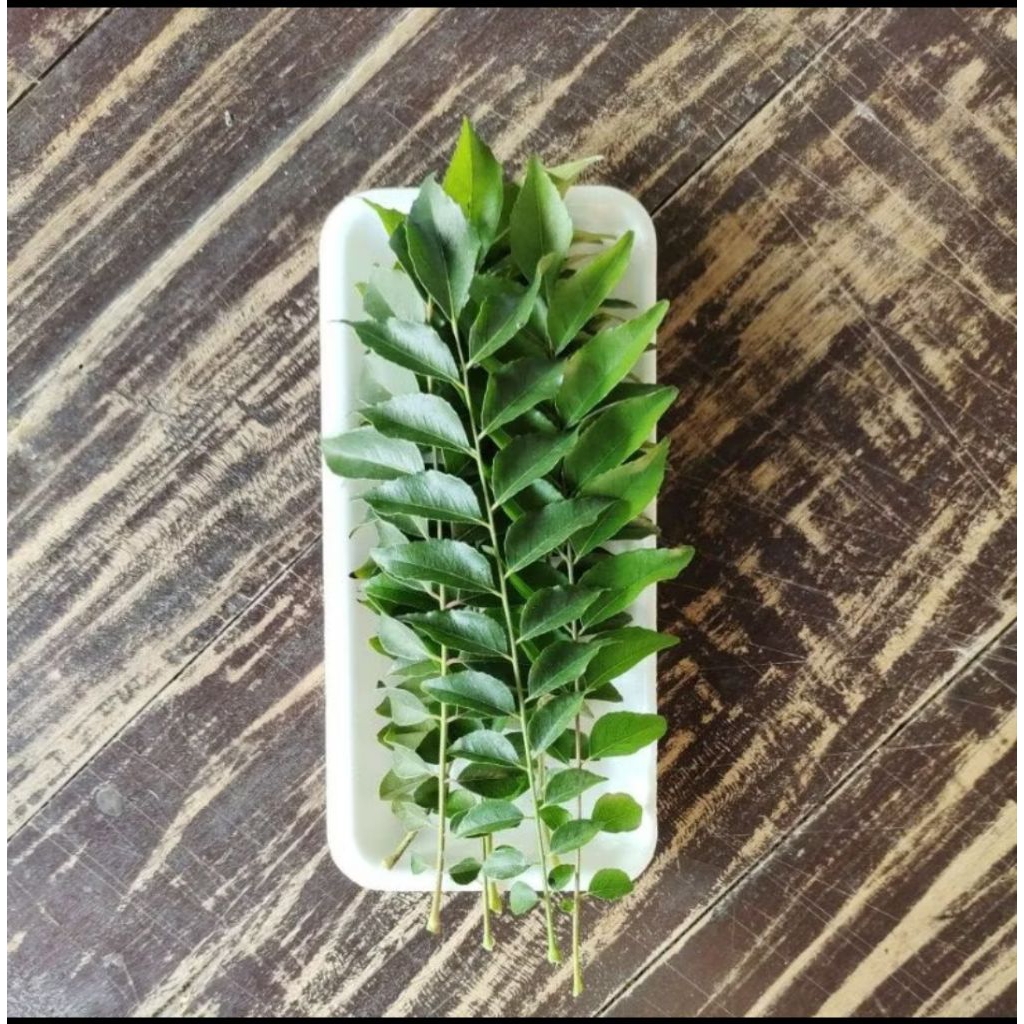 

Daun Kari Segar satu tangkai