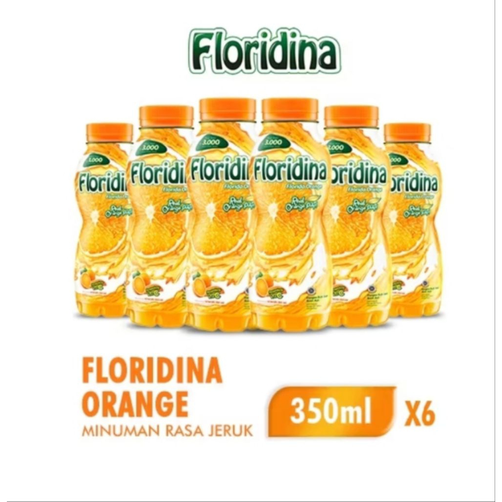 

paket isi 6 floridina orange 350ml