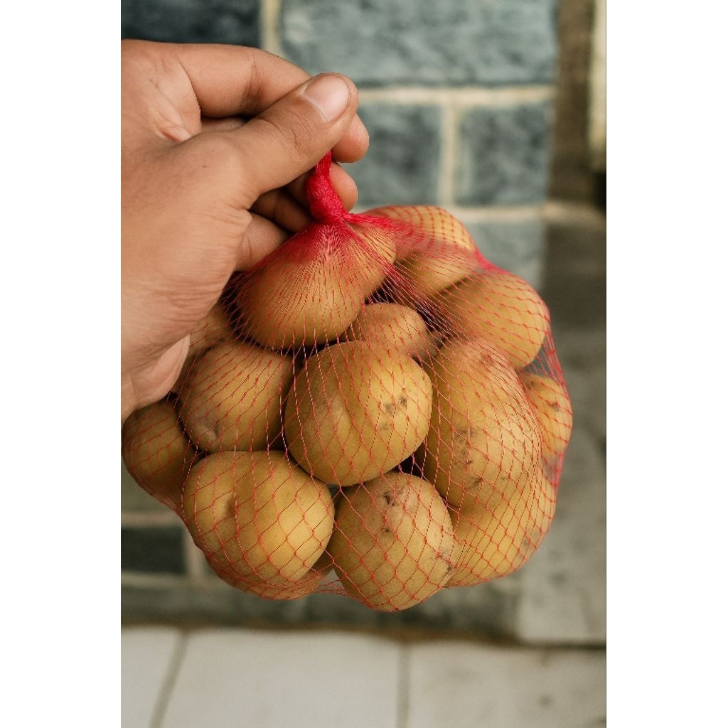 

Kentang dieng DN super fresh ukuran SIOMAY 1Kg – Kualitas Premium untuk Masakan